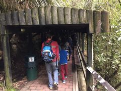 -怀托摩萤火虫洞