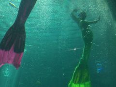 -福州罗源湾海洋世界旅游区