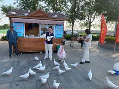 -天津妈祖文化园