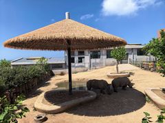 -西霞口神雕山野生动物世界