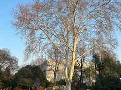 -南京东郊国宾馆