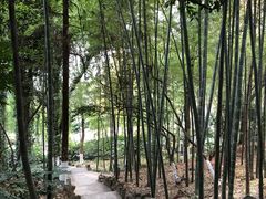 -上海市保健医疗中心(华东疗养院)