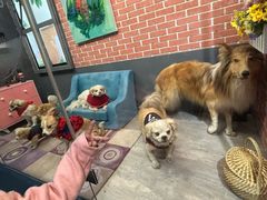 -昆明动物博物馆