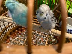 -老湘亲·品鉴湘菜(蔡塘爱琴海店)