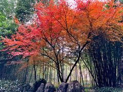 -苏州环秀晓筑养生度假村