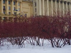 -阿芙乐尔号巡洋舰