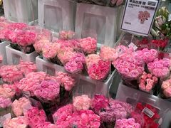 -盒马X会员店(上海森兰商都店)
