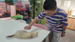 -Moni星球萌宠·小马宝莉·灵蛇·高端高阶全萌宠互动体验俱乐部(红豆国际广场店)