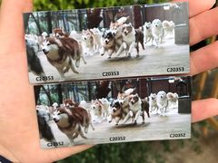 -TrueLove @ Neverland (Husky Cafe)