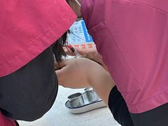 -美联众合动物医院·24h京西诊疗中心