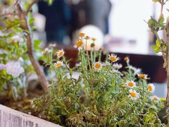 景观位-RAC BAR(安福路店)