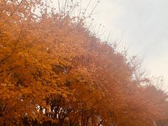 -滨湖塘西河公园