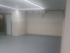 -EFL巴西柔术·综合格斗·泰拳·少儿体能训练(虹桥德必馆)