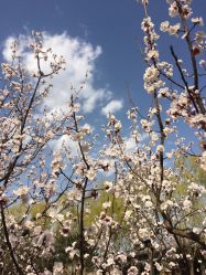 -大望京儿童游乐场