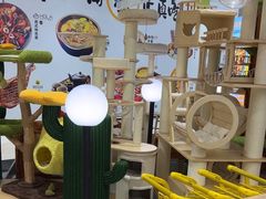 -帕帕拉兹宠物(亚洲旗舰店)