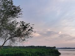 -丁香湖公园