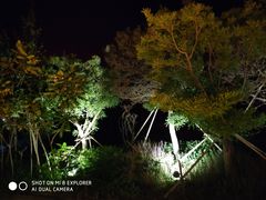 -渔岛海洋度假区