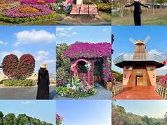 -东莞植物园