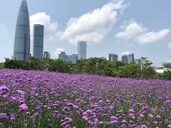 -深圳人才公园