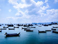 -悦海公园