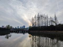 -黄兴公园