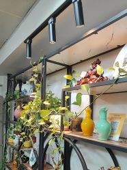 -冰岛刺青·手工耳饰品售卖·专业纹身