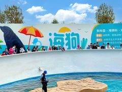 -秦皇岛乐岛海洋王国