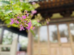 -北固山景区