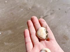 -东海半边山旅游度假区