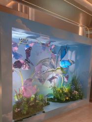 点击看大图 -深圳米兰柏羽医疗美容医院