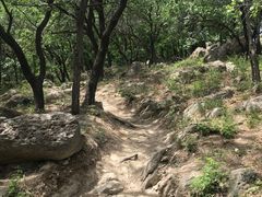 -北京鹫峰国家森林公园