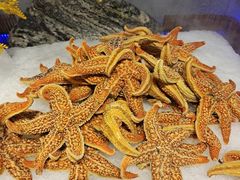 -圣罗巴海鲜自助(黑金店)