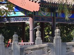 -西海子公园