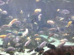 -南昌海洋公园