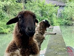 -宁波野生动物园