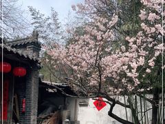 -老张烤羊(王哥庄店)