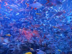 -成都浩海立方海洋公园