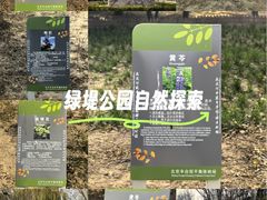 -绿堤公园