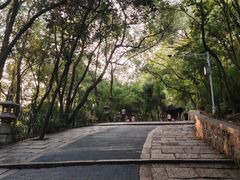 -灵岩山风景区