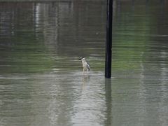 -苏州河梦清园环保主题公园