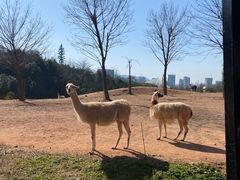 -杭州野生动物世界