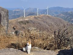 -东白山