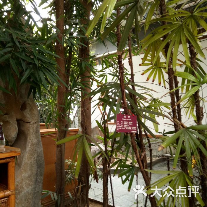 金泰花园酒店