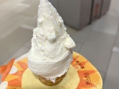 -野人先生现做冰淇淋(北京环宇荟店)