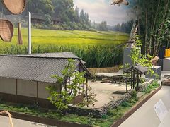 -四川大学博物馆