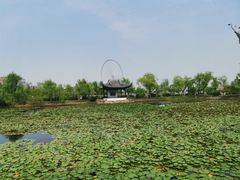 -无锡蠡湖国家湿地公园-蠡园