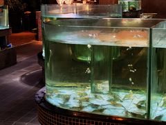 -观澜湖酒店·邀月庭中餐厅