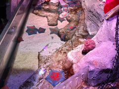 -沈阳海洋探索中心