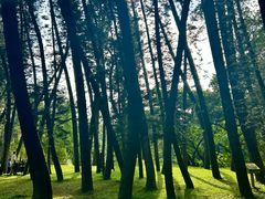 -华南国家植物园-售票处