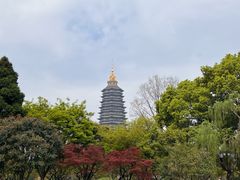 -红梅公园
